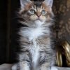 Meet Zolotko