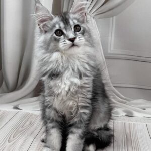 Meet Melissa