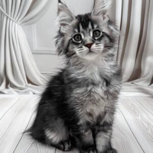 Meet Mers